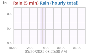 rain