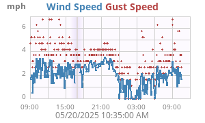 wind