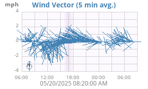 Wind Vector