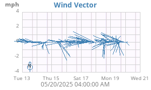 Wind Vector